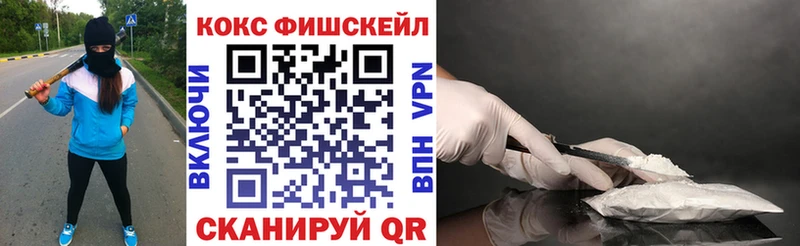 Кокаин Fish Scale  Купить где  Артёмовск 