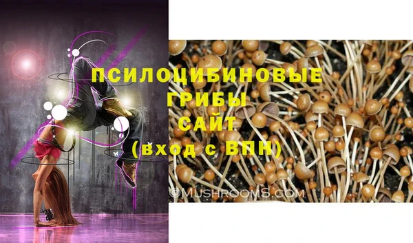 соль ск Краснотурьинск