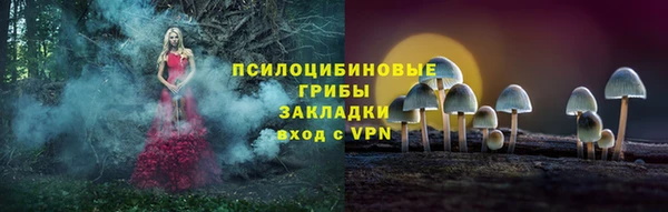 гашик Краснослободск