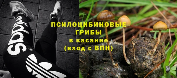 шишки Красноперекопск