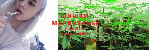 гашик Краснослободск