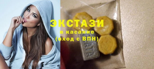 гашик Краснослободск