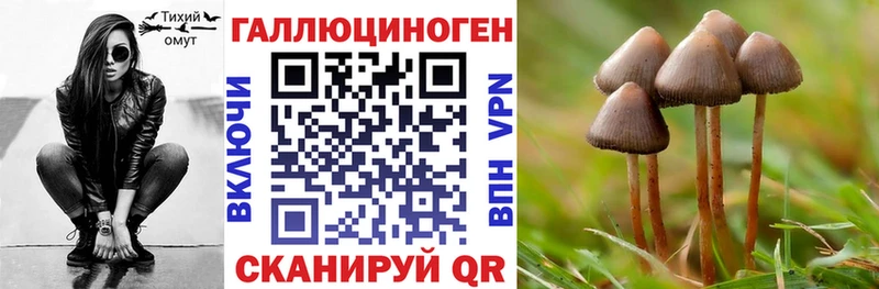 Купить  Артёмовск  Псилоцибиновые грибы Magic Shrooms 